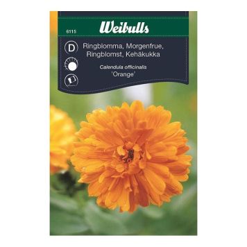 Morgunfrú appelsínugul fræ Weibulls Calendula officinalis