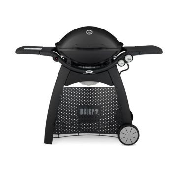 Gasgrill Q3000 Weber 2 brennarar