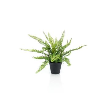 Gerviplanta burkni Emerald 35cm