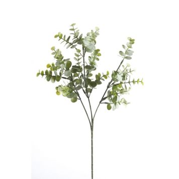 Gerviplanta grein Eucalyptus Emerald 20cm 3 stk