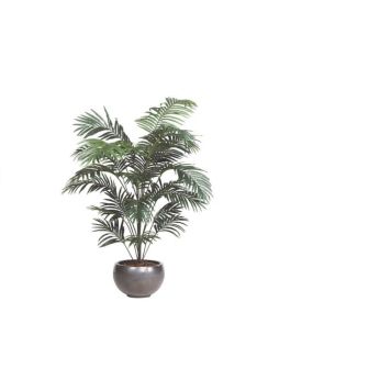 Gerviplanta Paradísarpálmi Emerald 150cm