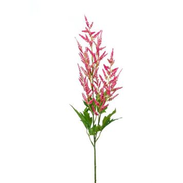 Gerviplanta Astilbe Emerald 90cm bleik