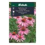 Sólhattur fræ Weibulls Echinacea purpurea