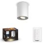 Loftljós LED Pillar 350lm Philips Hue hvítt