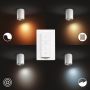 Loftljós LED Pillar 350lm Philips Hue hvítt