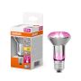 Gróðurpera LED E27 7,5W Osram R63