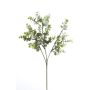 Gerviplanta grein Eucalyptus Emerald 20cm 3 stk