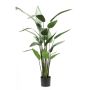 Gerviplanta Heliconia Emerald 125cm