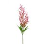 Gerviplanta Astilbe Emerald 90cm bleik